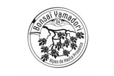 Logo de Bonsaï Yamadori 04 Logo de Bonsaï Yamadori 04