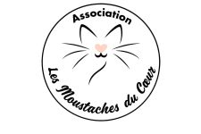 Logo de Moustaches du coeur Logo de Moustaches du coeur